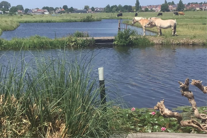 Foto 44 van Rotgans 15