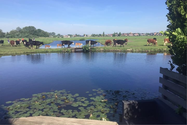 Foto 46 van Rotgans 15