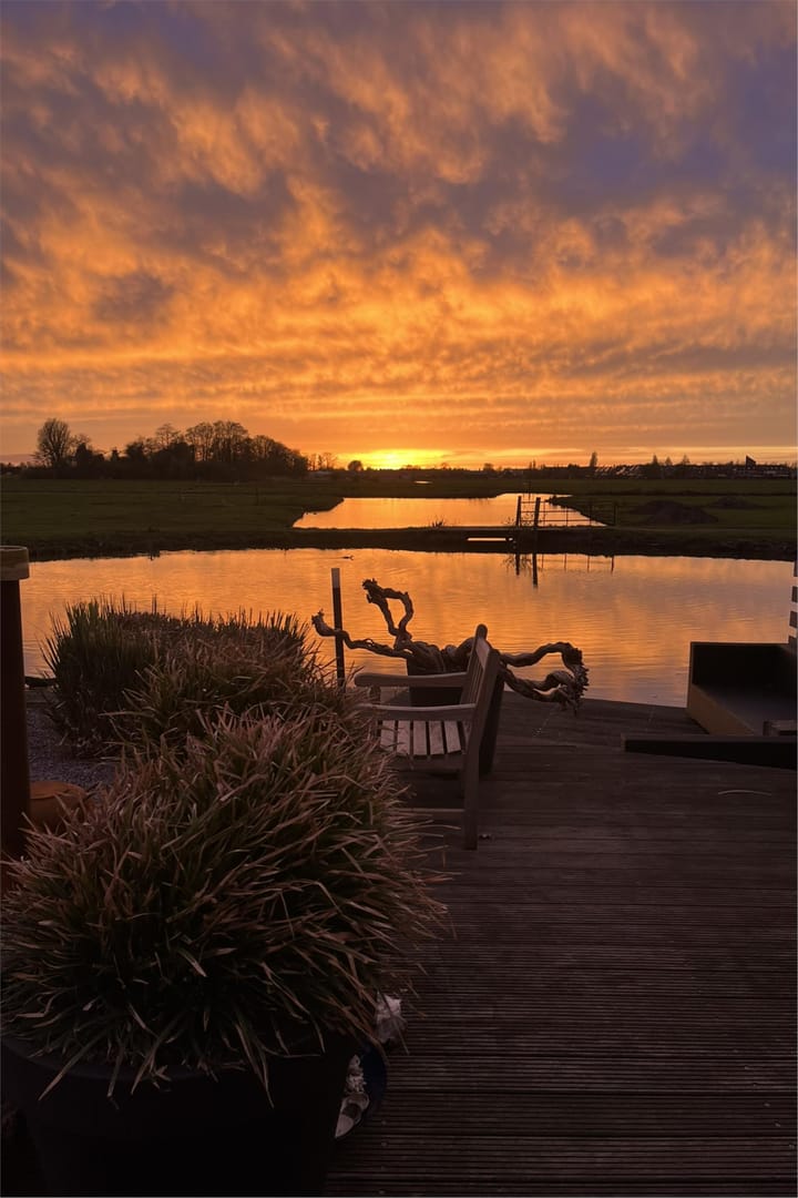 Foto 47 van Rotgans 15