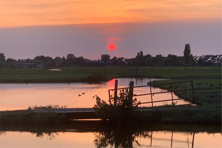 Foto 48 van Rotgans 15