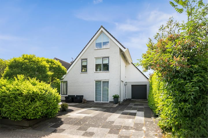 Foto 50 van Rotgans 15