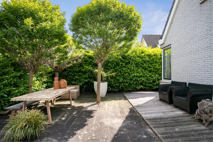 Foto 51 van Rotgans 15