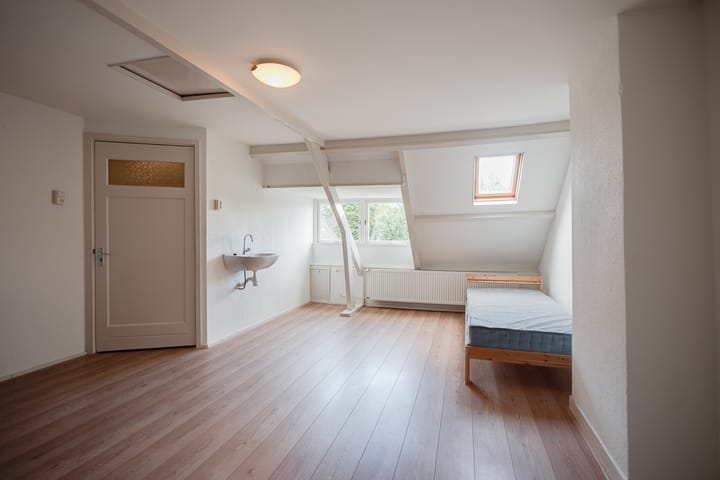 Foto 20 van Boerhaavestraat 24