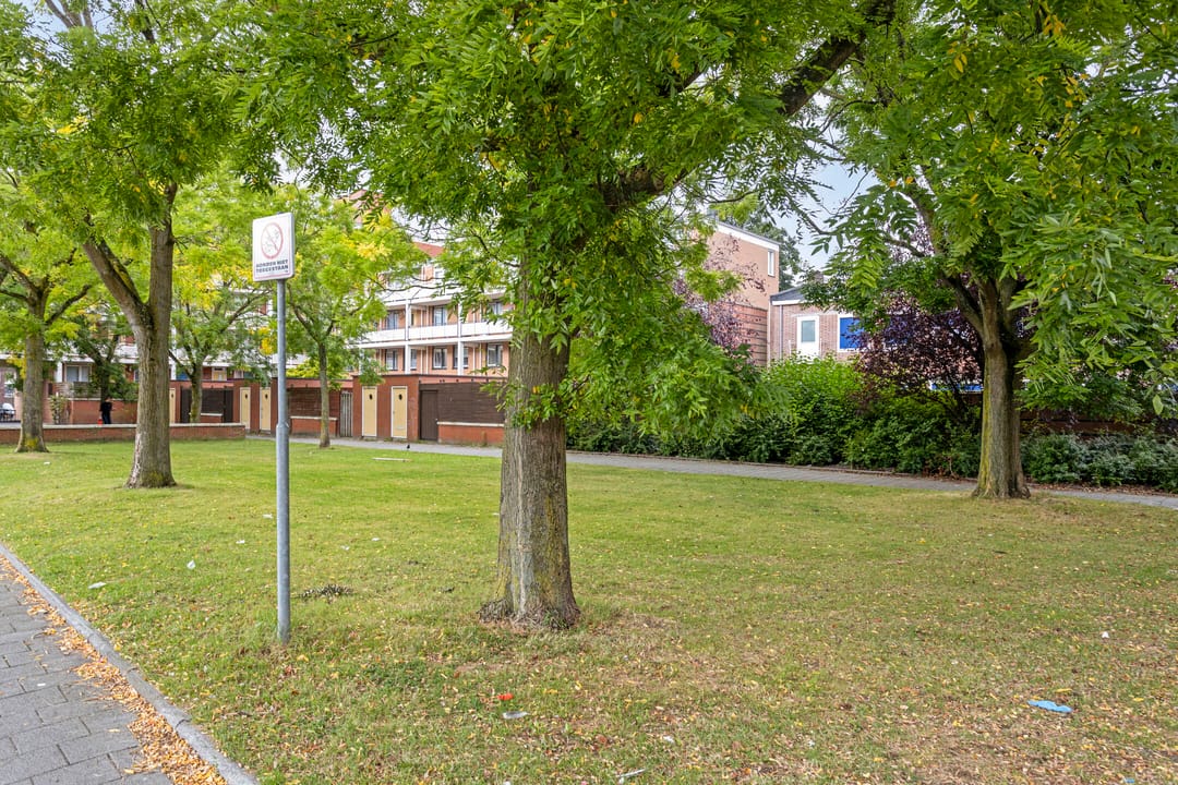 Foto 7 van Boeierstraat 23-C