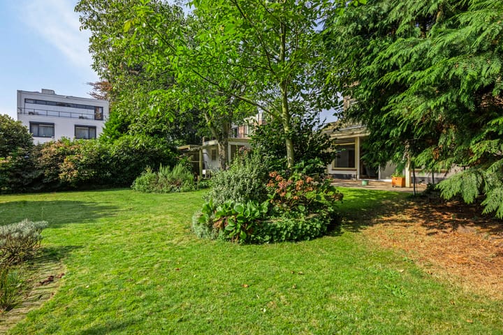 Foto 69 van Violierstraat 19