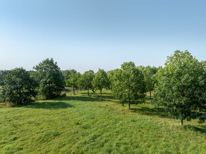 Foto 18 van Zwartebessenstraat