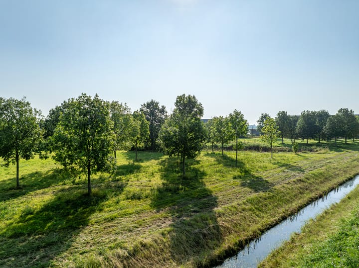 Foto 20 van Zwartebessenstraat