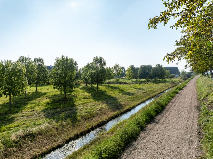 Foto 21 van Zwartebessenstraat