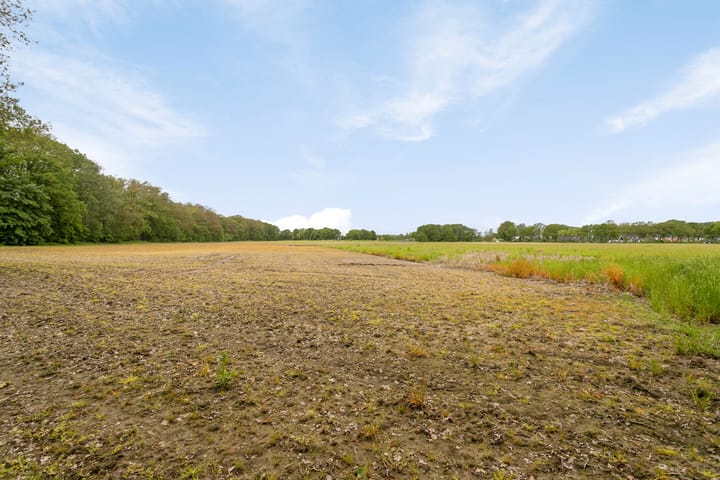 Photo 18 of Toldijk 20