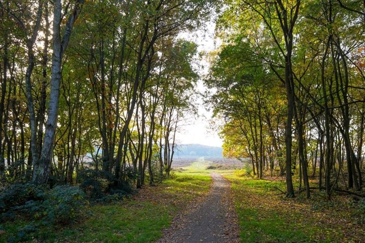 Bekijk foto 58 van Hilvertsweg 261