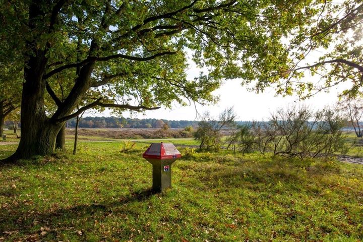 Bekijk foto 59 van Hilvertsweg 261