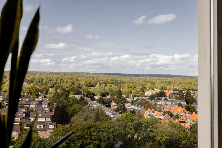 Foto 13 van Van Leeuwenhoekstraat 5-0134