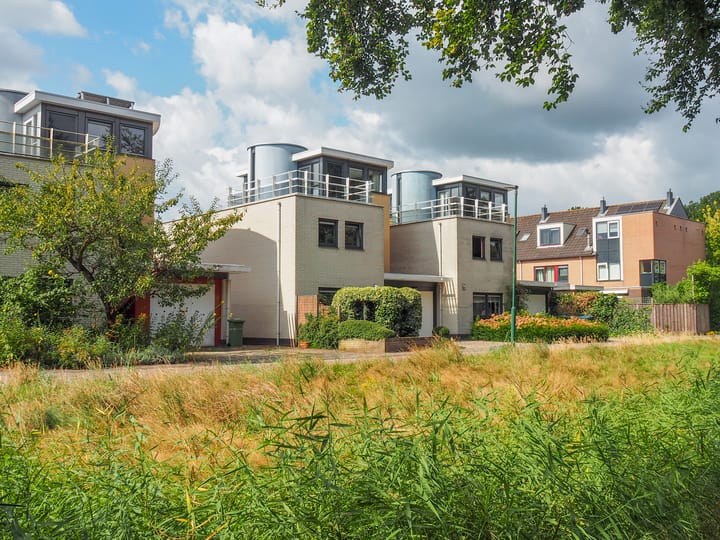 Foto 2 van Aalscholver 129