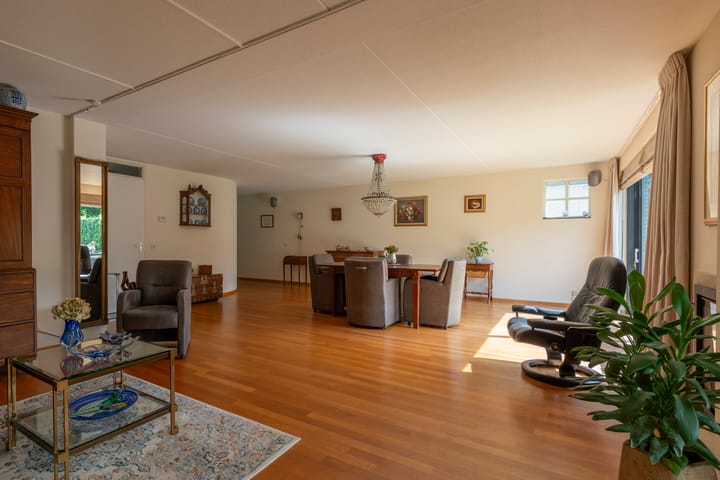 Foto 5 van Aalscholver 129