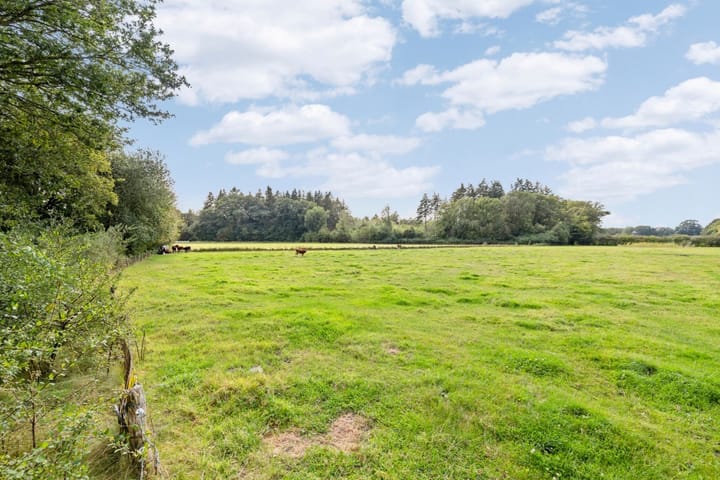 Photo 50 of Spanjaardsdijk 86