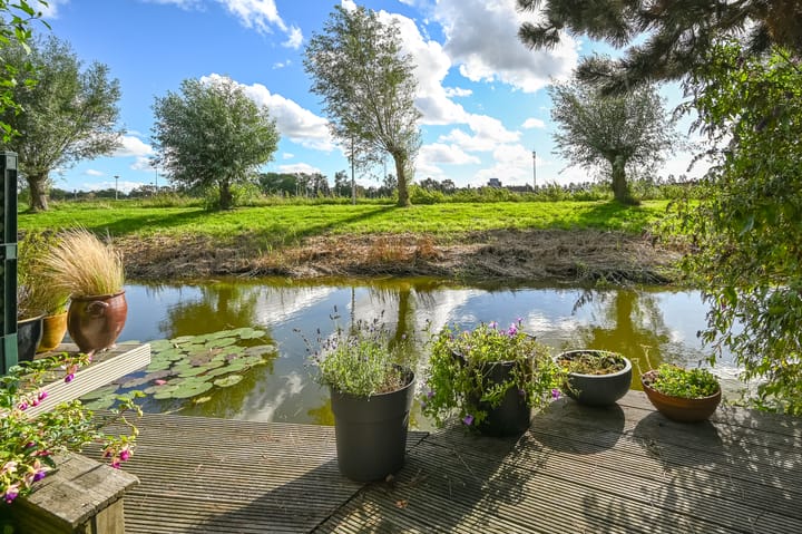 Foto 2 van Engels Gras 64