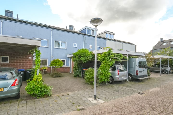 Foto 3 van Engels Gras 64