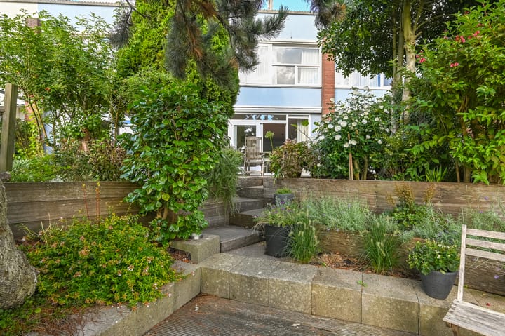 Foto 4 van Engels Gras 64