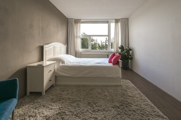 Foto 15 van Engels Gras 64