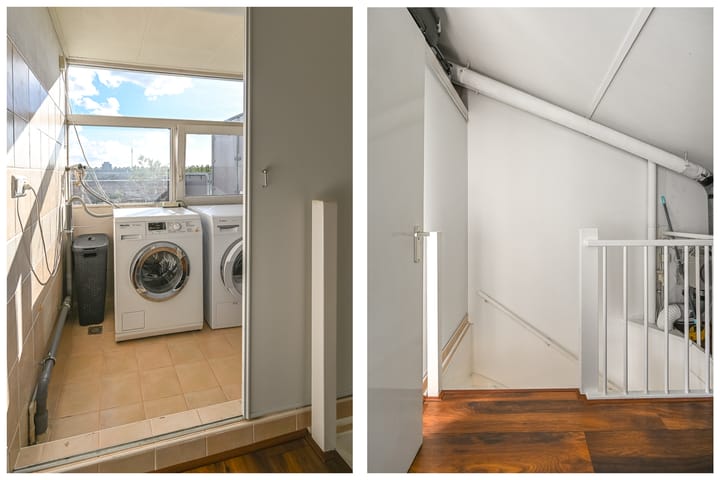 Foto 24 van Engels Gras 64