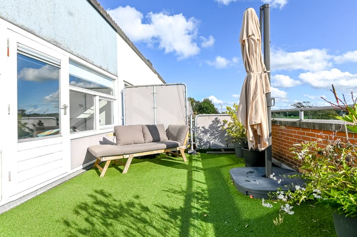 Foto 25 van Engels Gras 64