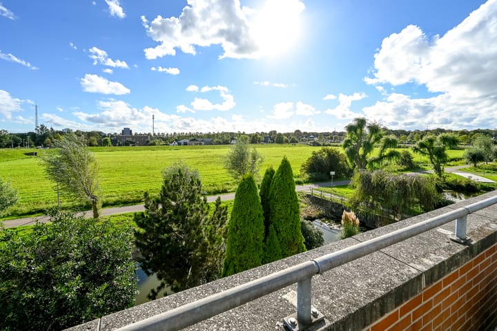 Foto 26 van Engels Gras 64