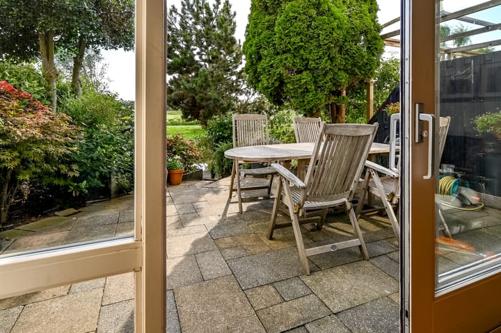 Foto 28 van Engels Gras 64