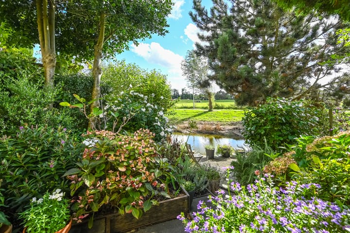 Foto 31 van Engels Gras 64