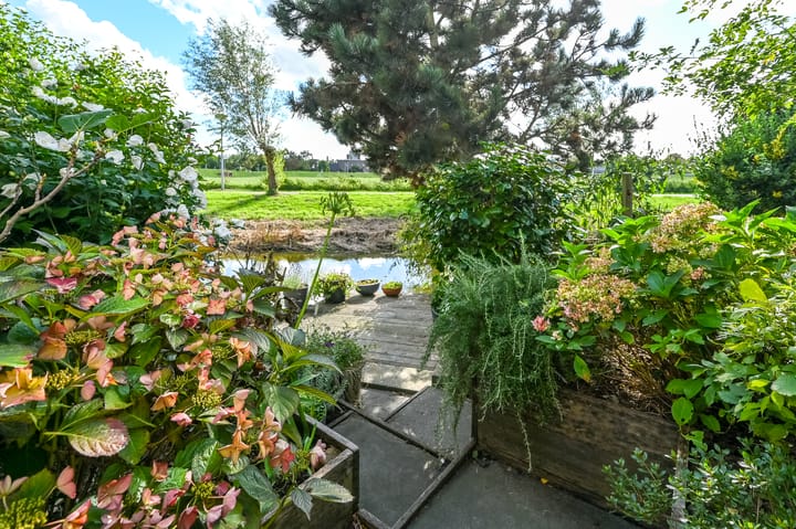 Foto 32 van Engels Gras 64