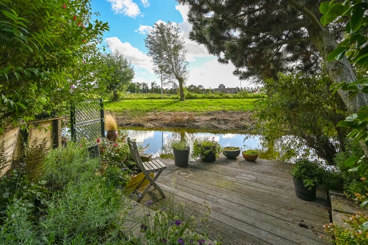 Foto 35 van Engels Gras 64