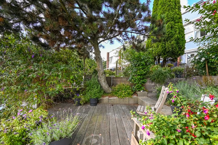 Foto 36 van Engels Gras 64