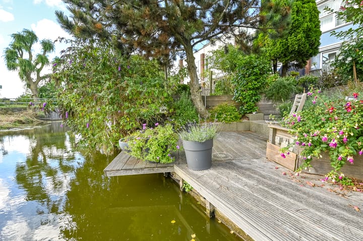 Foto 37 van Engels Gras 64