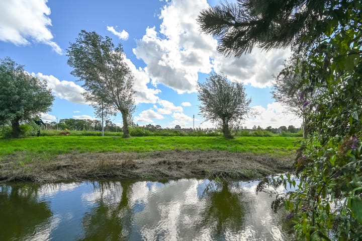 Foto 38 van Engels Gras 64