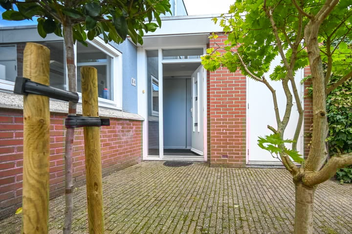 Foto 40 van Engels Gras 64