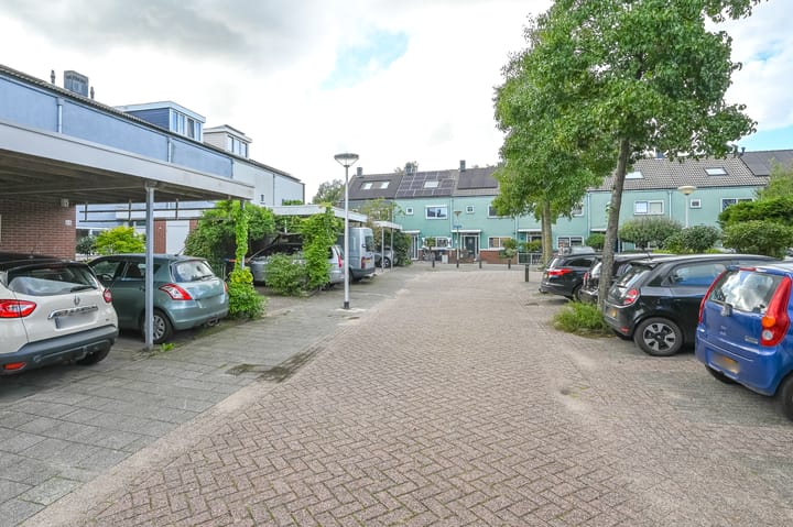 Foto 41 van Engels Gras 64