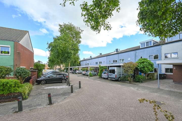 Foto 42 van Engels Gras 64