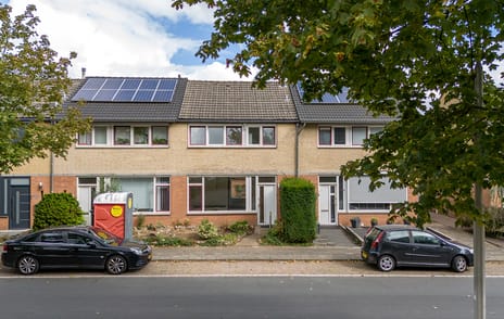 undefined main image