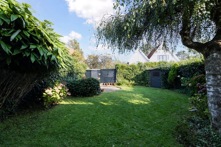 Foto 8 van Kornelis van Tollaan 27