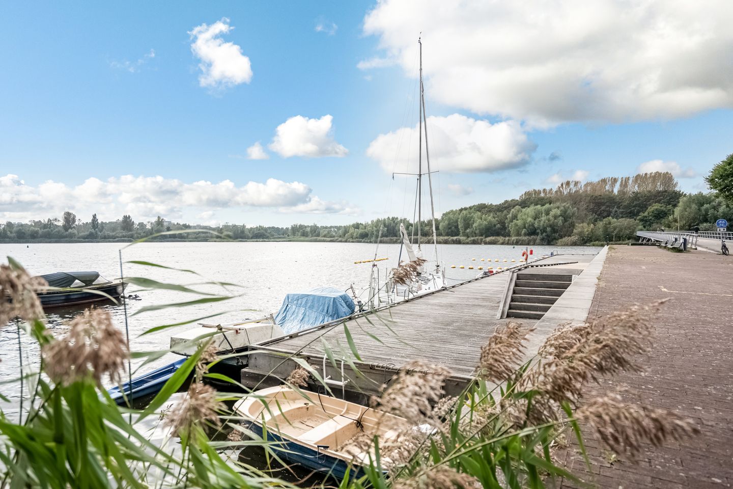 View photo 5 of Pedro de Medinalaan 83