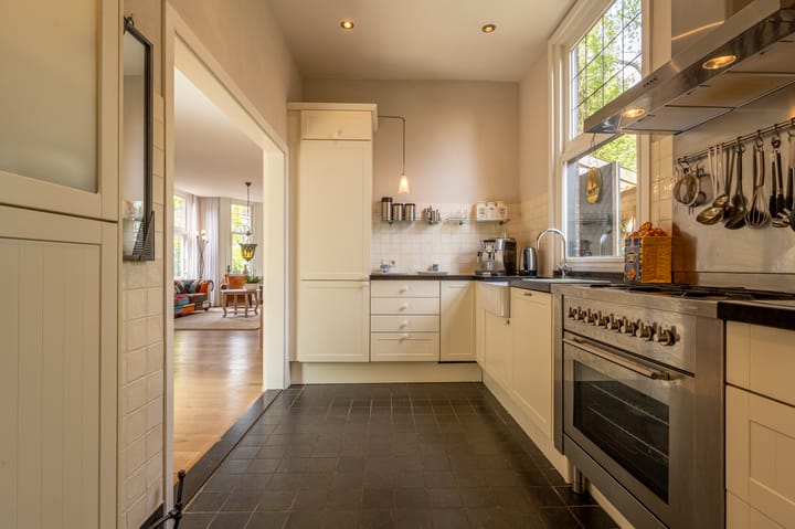 Foto 4 van F. van der Poest Clementlaan 42