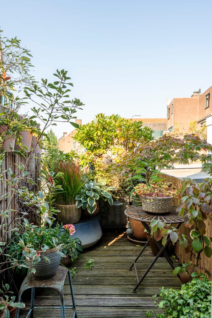 Foto 11 van Nieuwe Hoogstraat 27-B