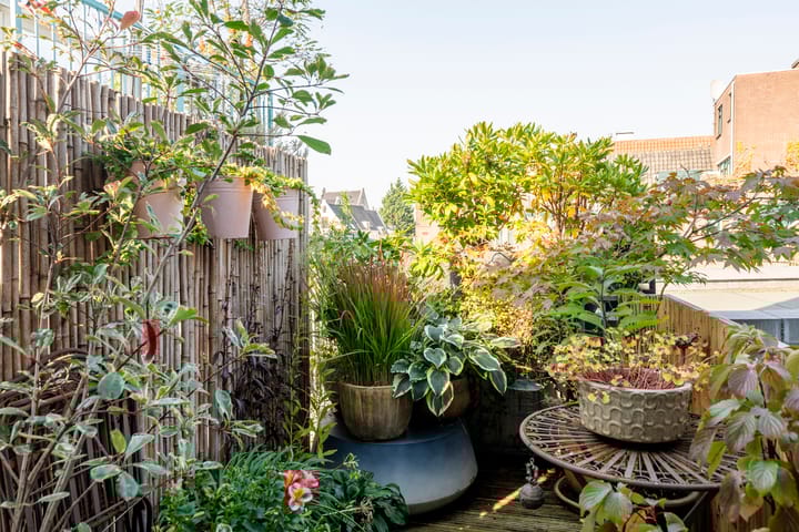 Foto 10 van Nieuwe Hoogstraat 27-B