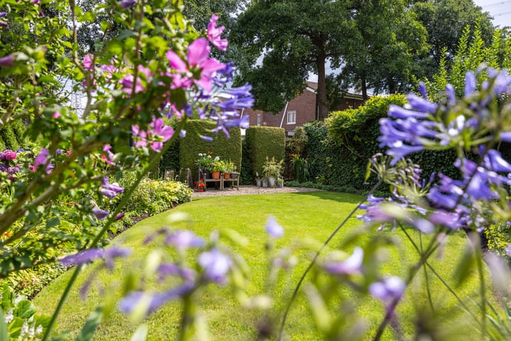 Foto 39 van Elbertbos 8