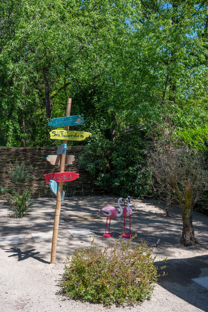 Foto 21 van Elfde Wijk 40-A