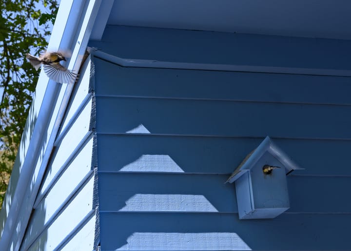 Foto 26 van Elfde Wijk 40-A