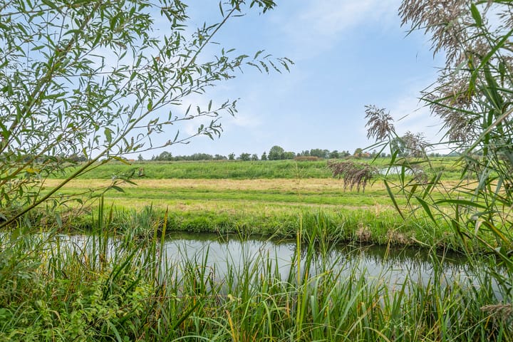 Foto 31 van Elisabeth Koetenstraat 6