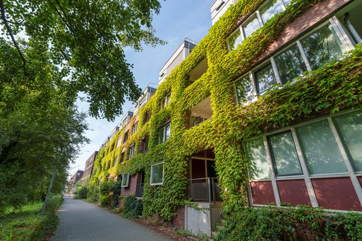 Bekijk foto 6 van Molukkenstraat 32