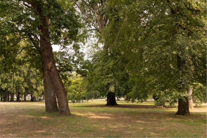 Foto 40 van Mr. Van Rhemenslaan 1