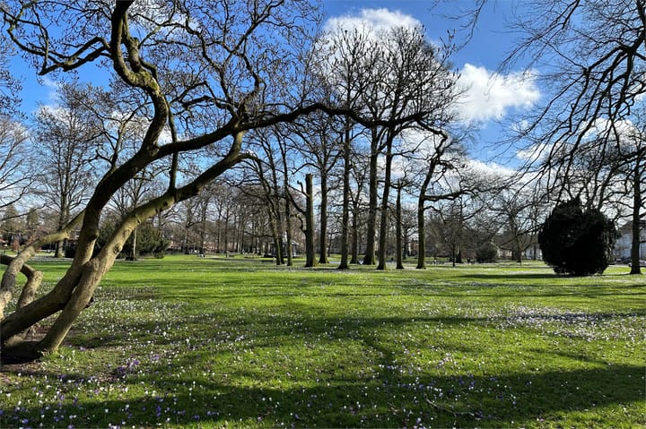 Foto 41 van Mr. Van Rhemenslaan 1