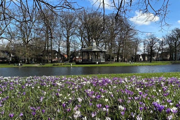 Foto 42 van Mr. Van Rhemenslaan 1